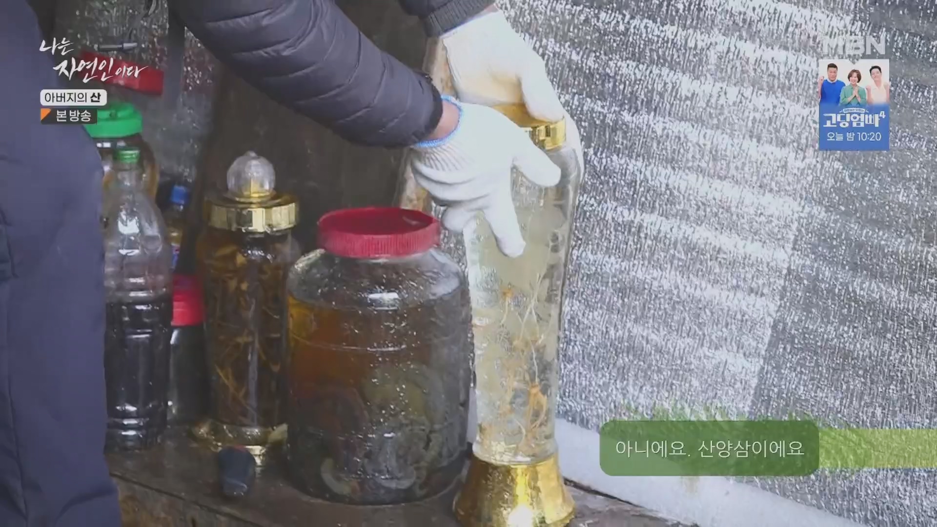 나는 자연인이다.E595.240228p.H264-F1RST.mp4_20240229_200119.071.jpg