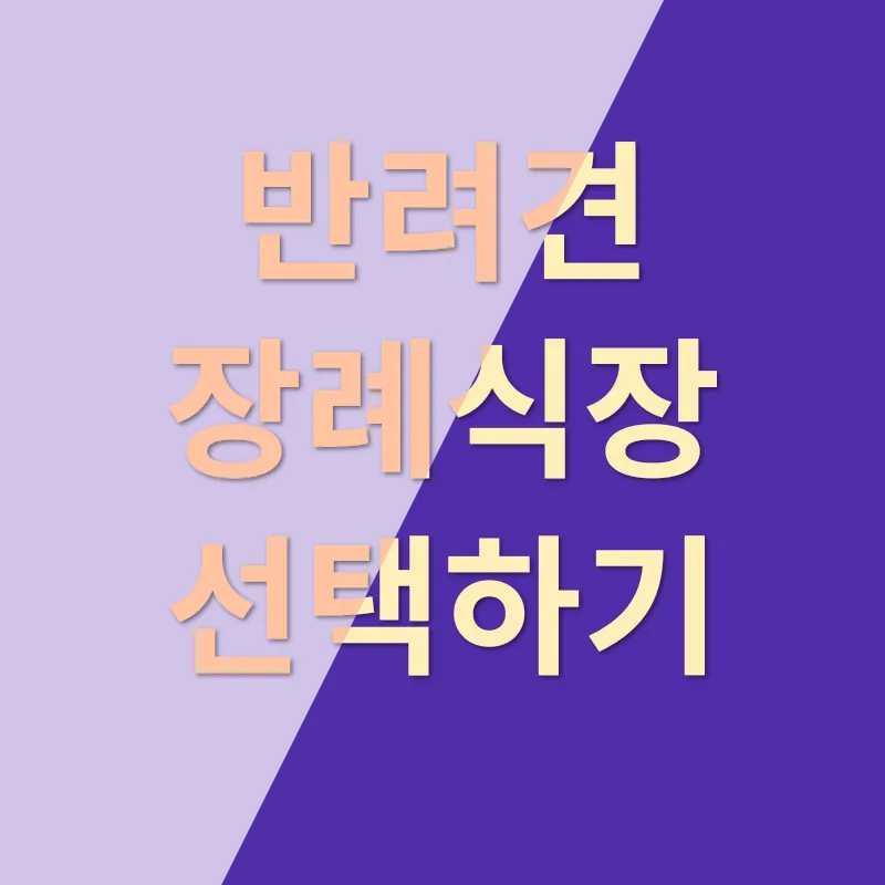 애도 장례업체 선택 기준_1
