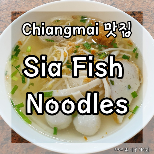  치앙마이 시아피시누들 어묵국수 Chiangmai Sia Fish Noodles