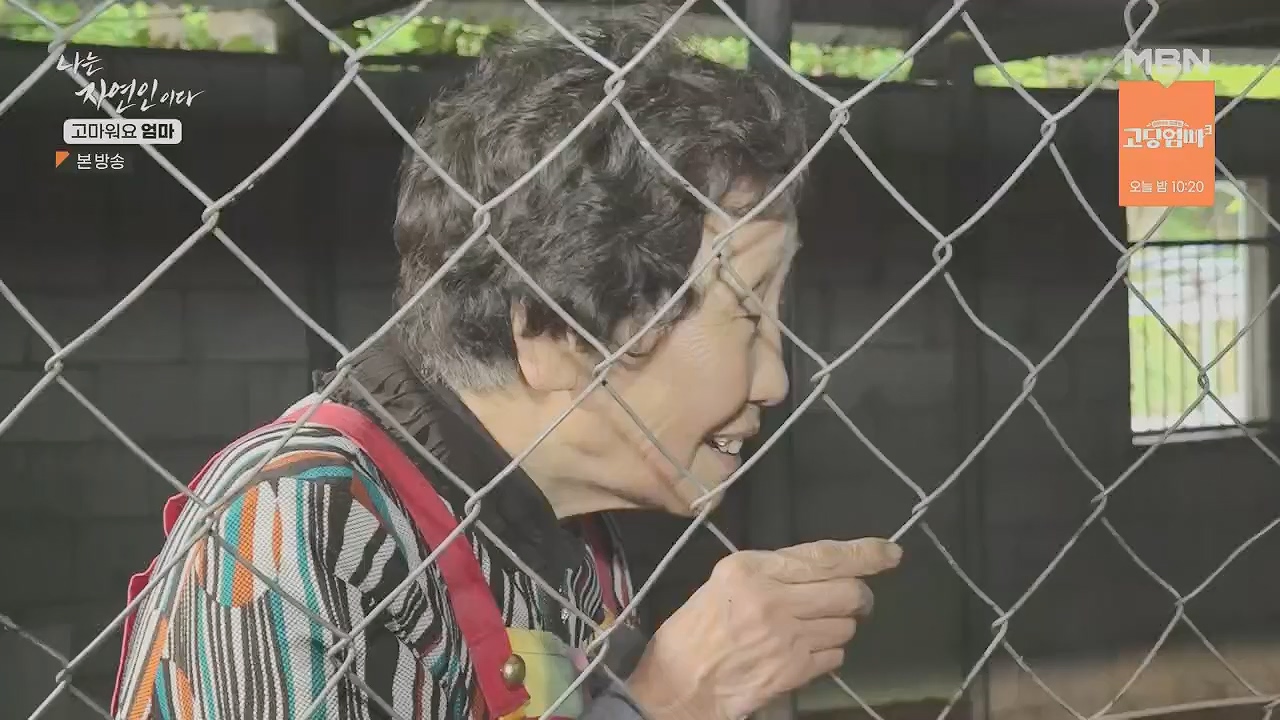 나는 자연인이다.E554.230518p.H264-F1RST.mp4_20230518_194518.085.jpg