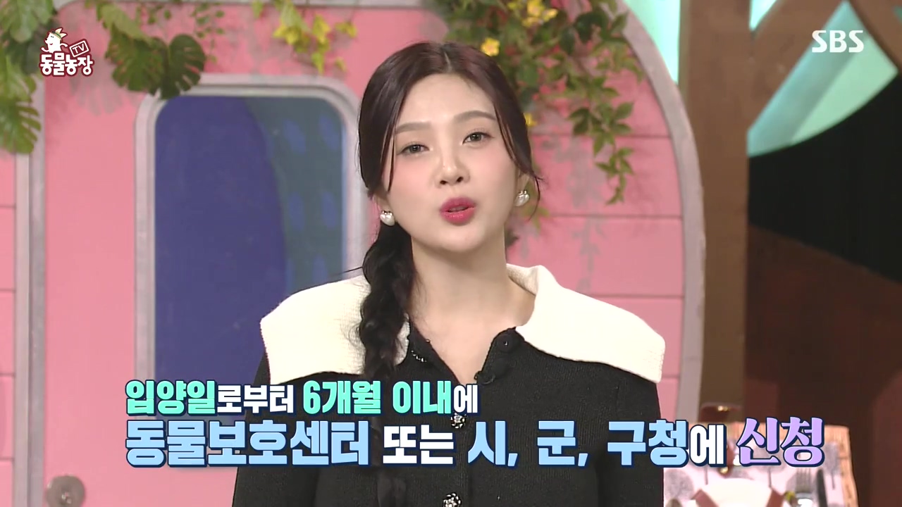 TV 동물농장.E1144.231106p-NEXT.mp4_20231105_175848.199.jpg