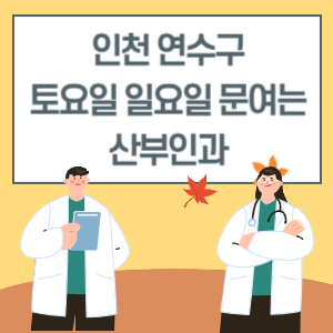 인천 연수구 토요일 일요일 산부인과 진료 병원 리스트