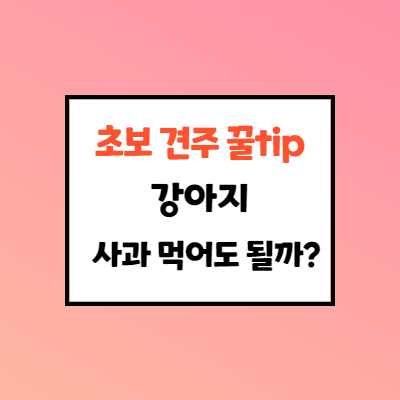  강아지 사과 먹어도 되나요? 초보견주 꿀tips