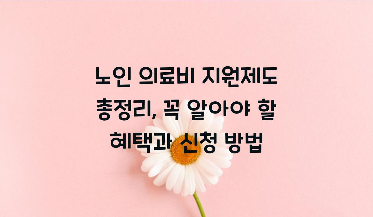 노인 의료비 지원제도
