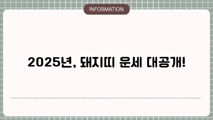 2025년 운세 돼지띠 신년운세