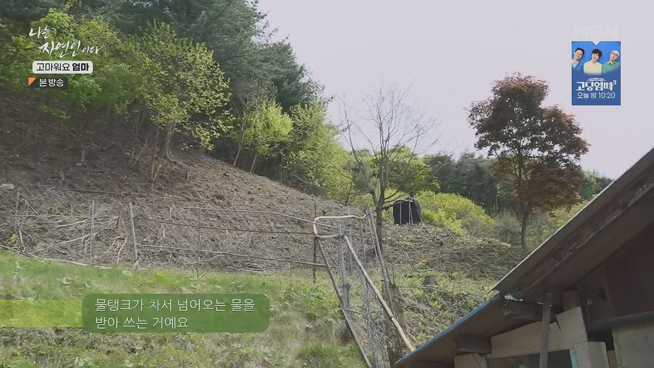 나는 자연인이다.E554.230518p.H264-F1RST.mp4_20230518_194510.737.jpg