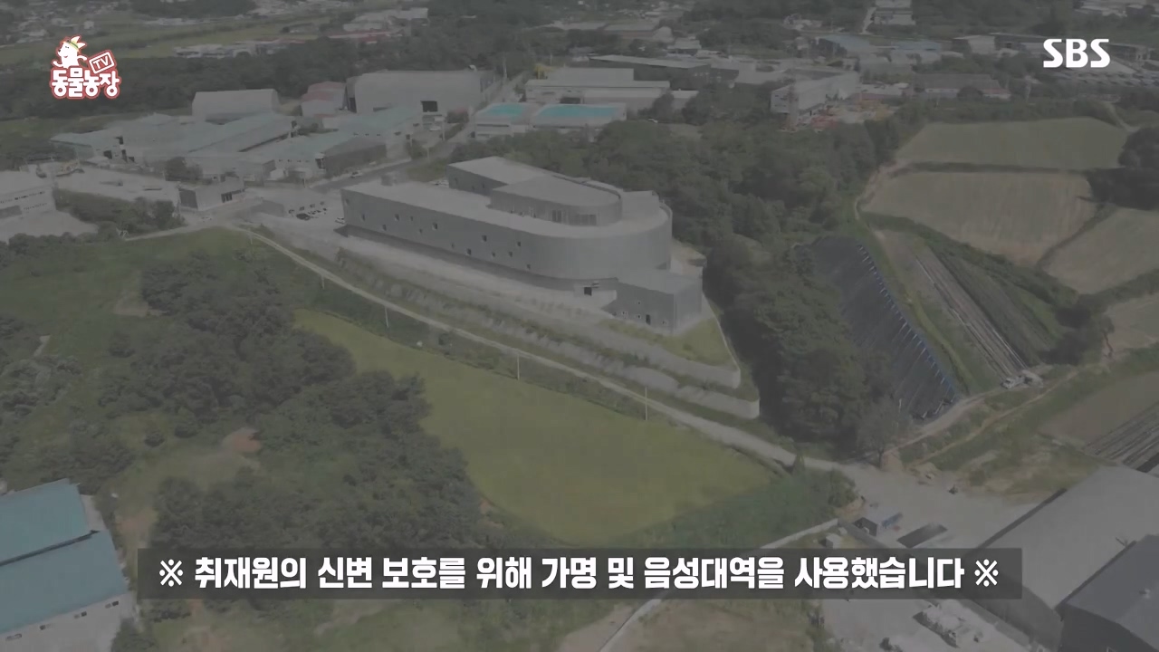 TV 동물농장.E1142.231023p-NEXT.mp4_20231022_171724.443.jpg