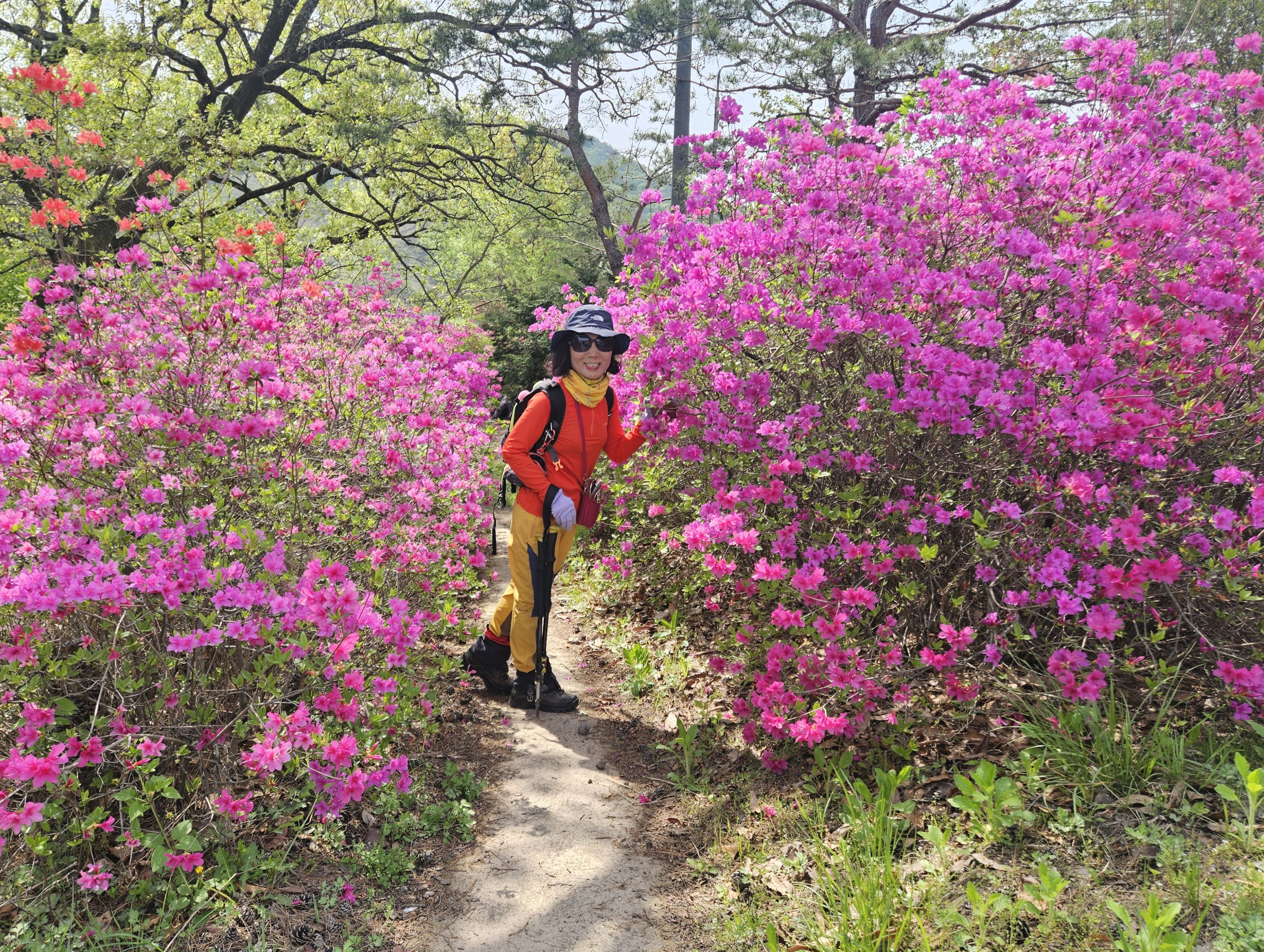 형제봉 이미지