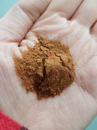 차가버섯 효능
