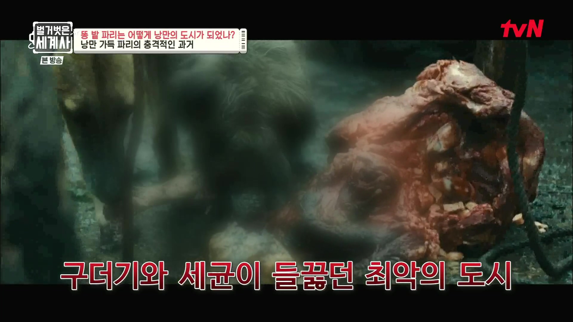 벌거벗은 세계사.E96.230425p.H264-F1RST.mp4_20231125_173331.217.jpg