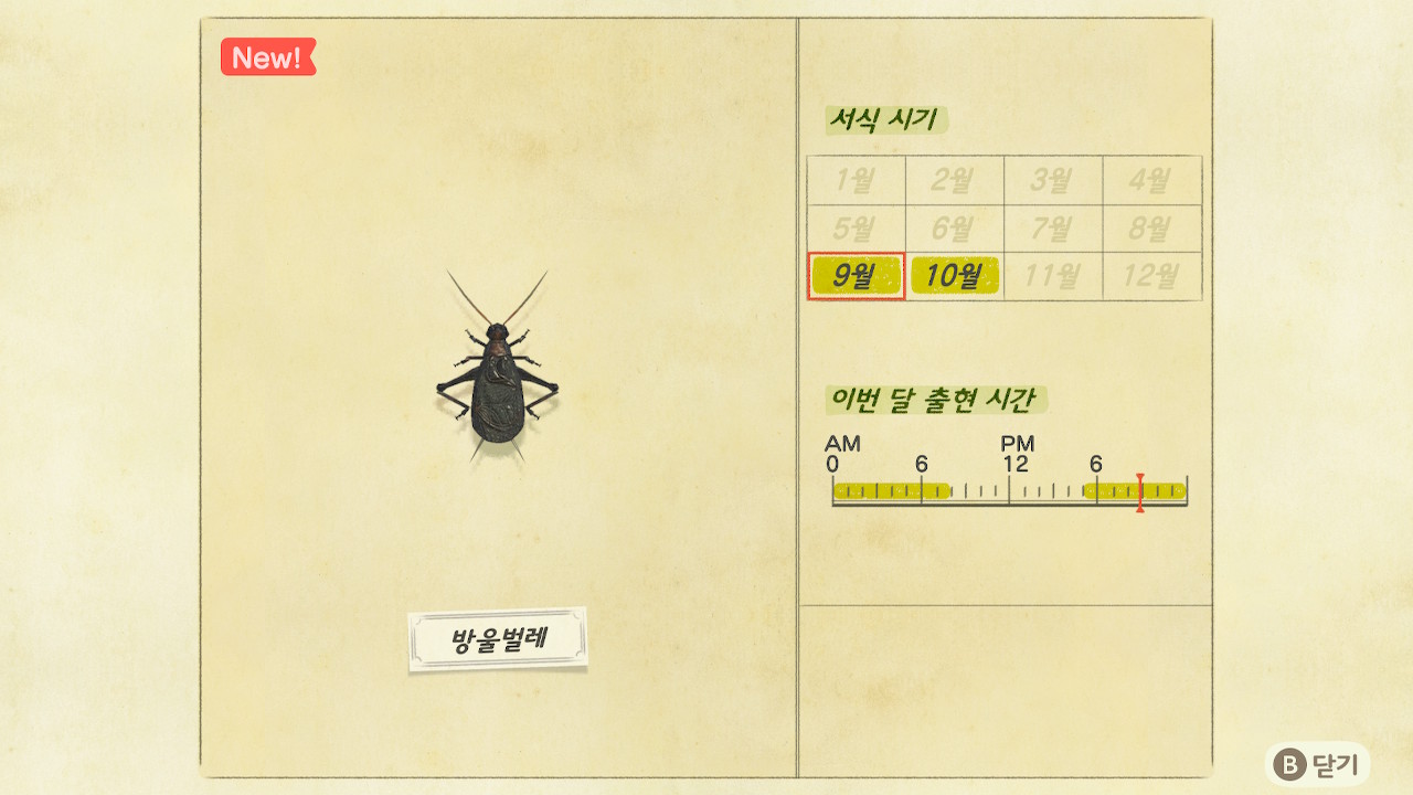 동물의 숲 9월 업데이트 이벤트 (곤충, 물고기 등 도감정보) 동물의 숲 9월 업데이트 이벤트 (곤충, 물고기 등 도감정보)