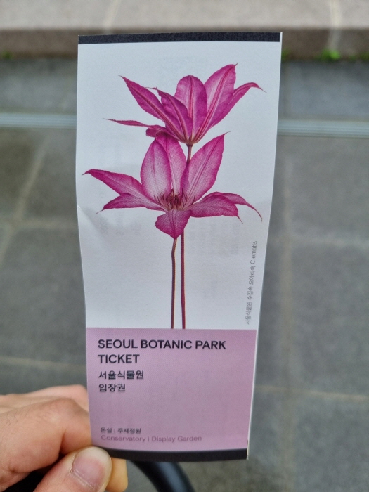 티켓