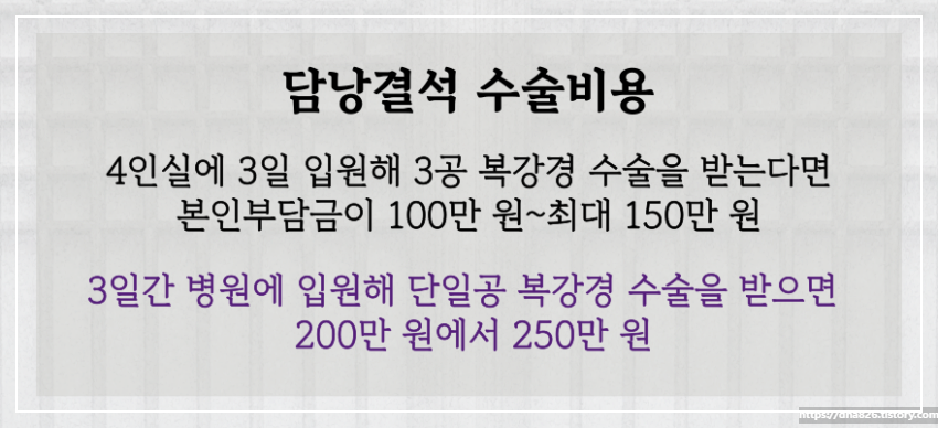 담낭결석 수술 비용