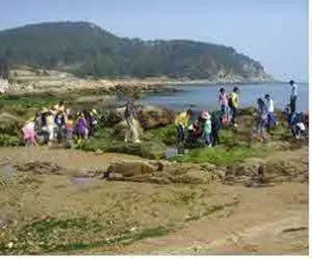 공수 어촌체험마을