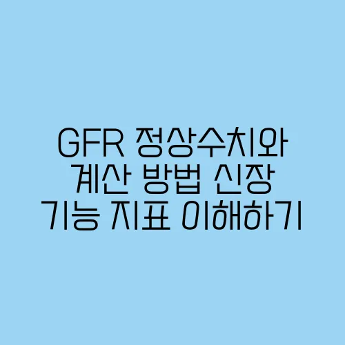 GFR 정상수치와 계산 방법 신장 기능 지표 이해하기