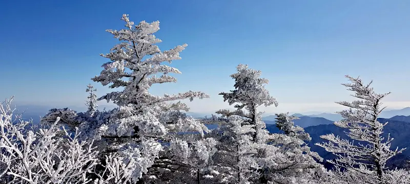 지리산 설경 상고대