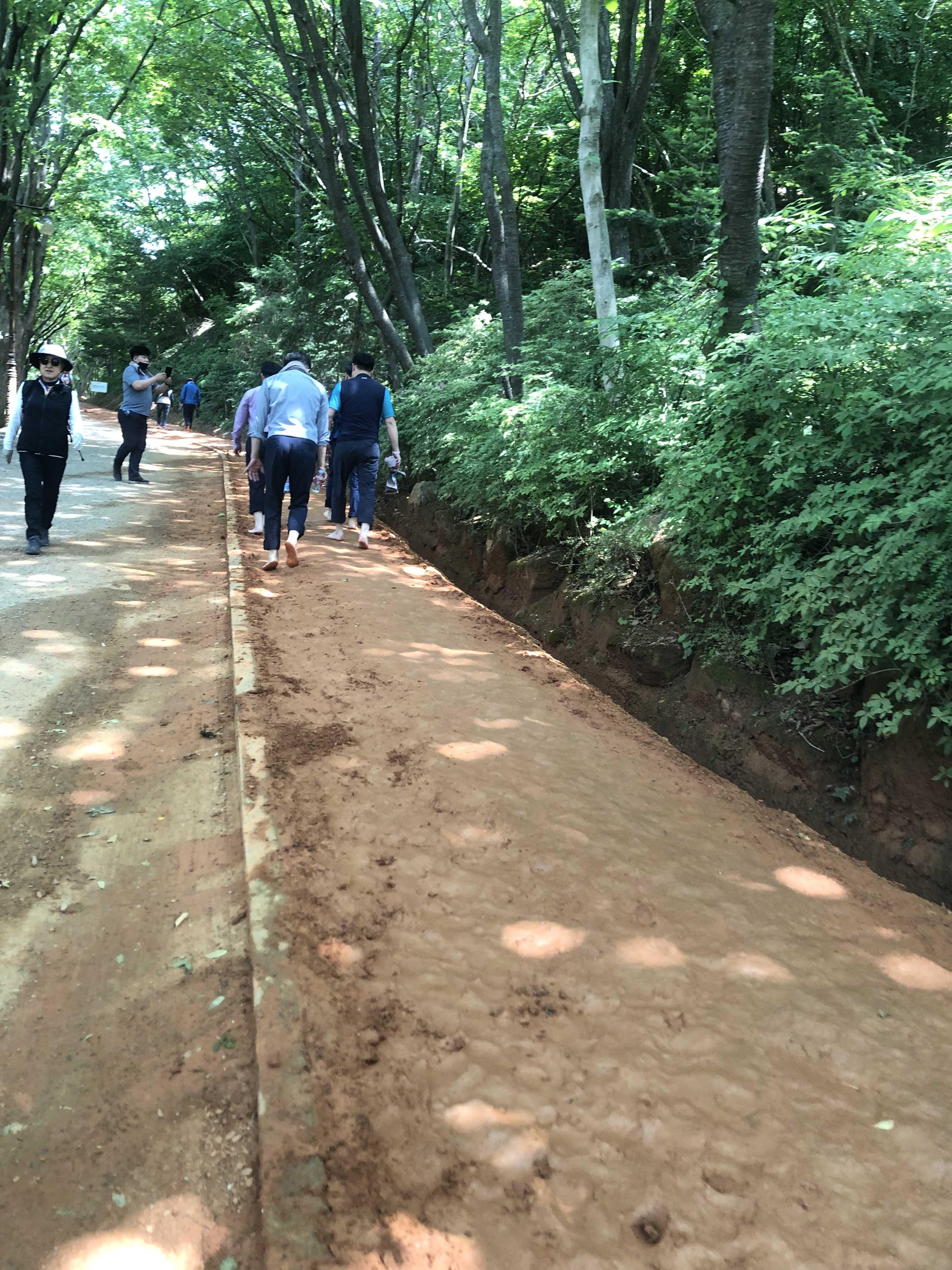  대전 계족산 황톳길 계족산성 주말 나들이