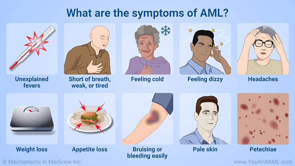 Symptoms_of_Acute_Myeloid_Leukemia