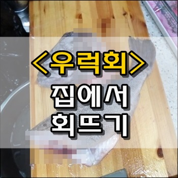  집에서 우럭회 떠먹기