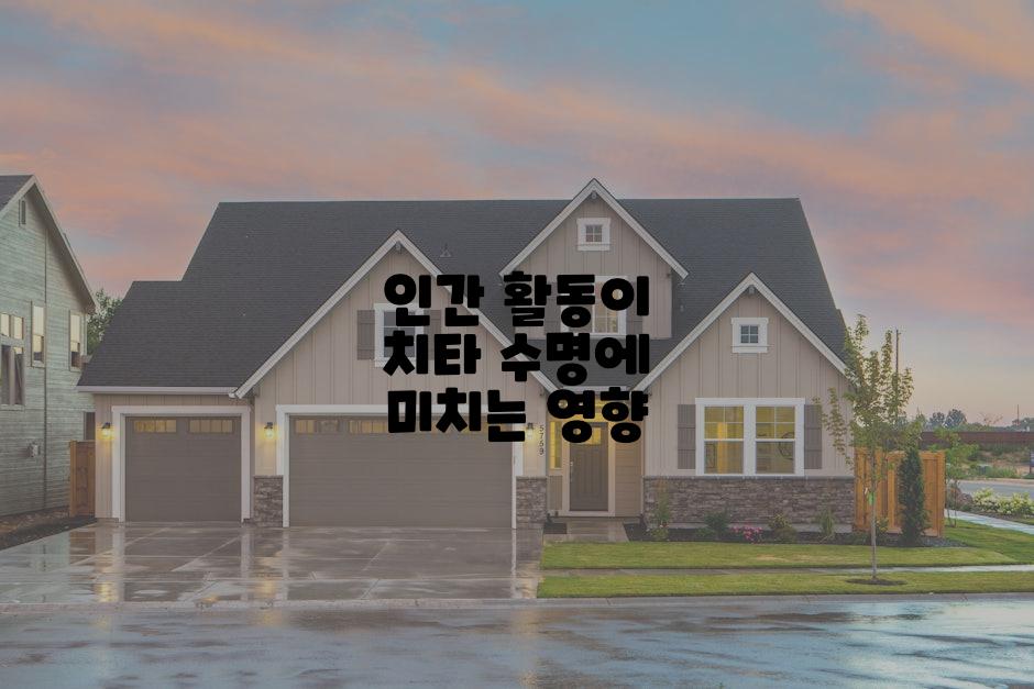 인간 활동이 치타 수명에 미치는 영향