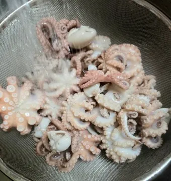 쭈꾸미 이미지