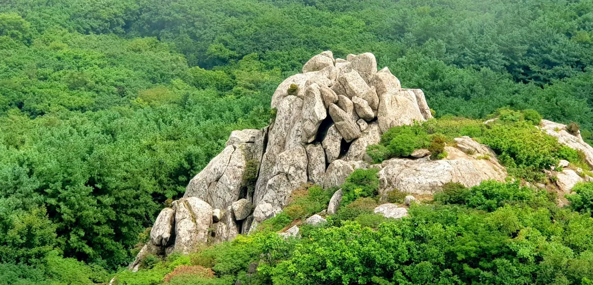 부산 금정산