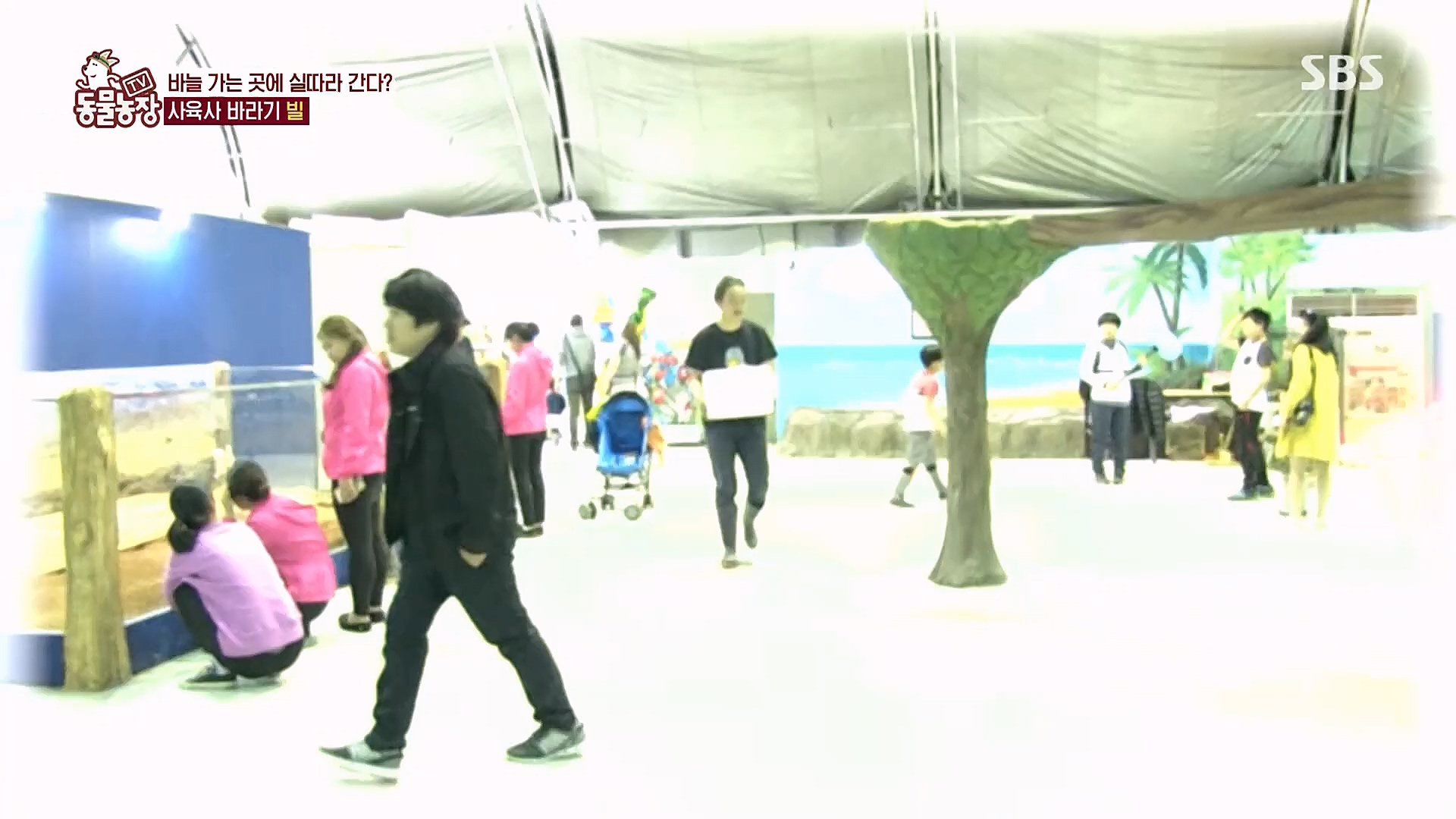 TV 동물농장.E1106.230129p.H264-F1RST.mp4_20230130_192735.404.jpg