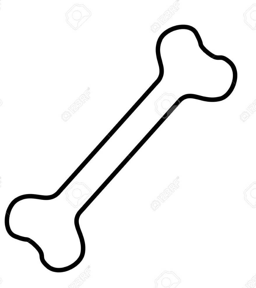  비타민D