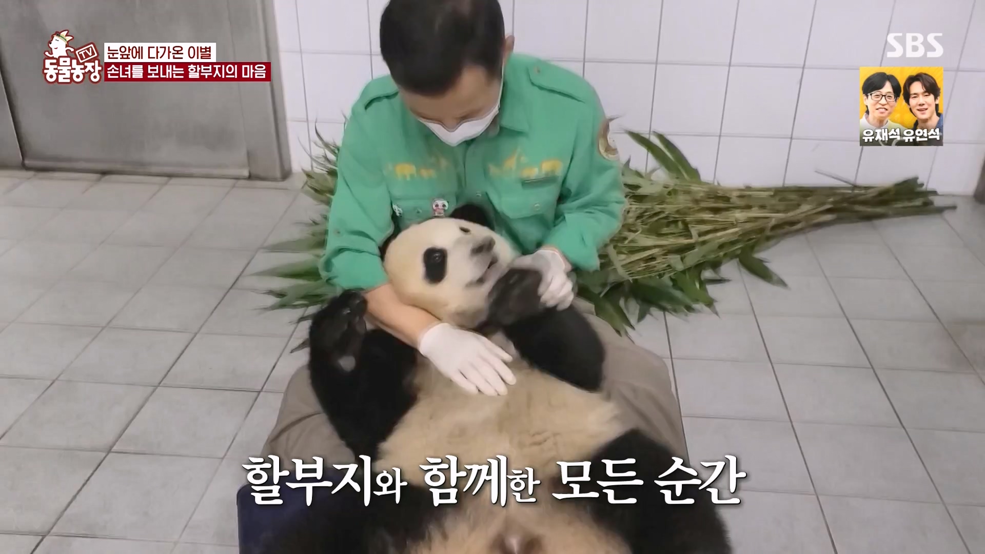 TV 동물농장.E1166.240407p-NEXT.mp4_20240407_164509.298.jpg