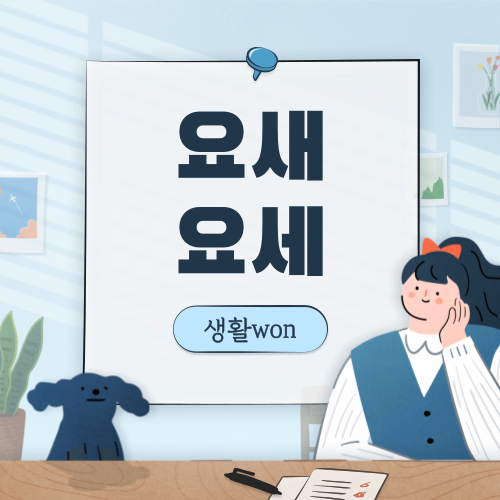  요새 vs 요세 올바른 맞춤법은??