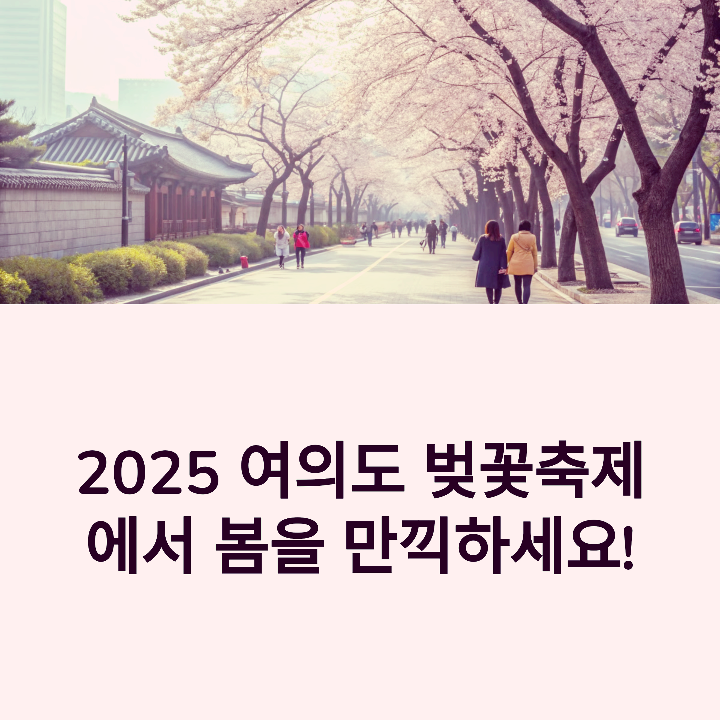 2025 여의도 벚꽃축제 완벽 가이드: 교통, 맛집, 포토존까지 썸네일 이미지