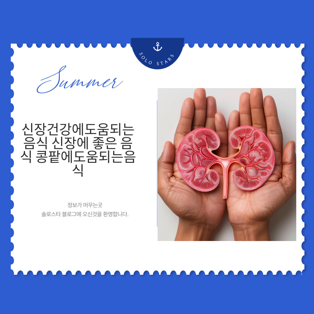신장 사진