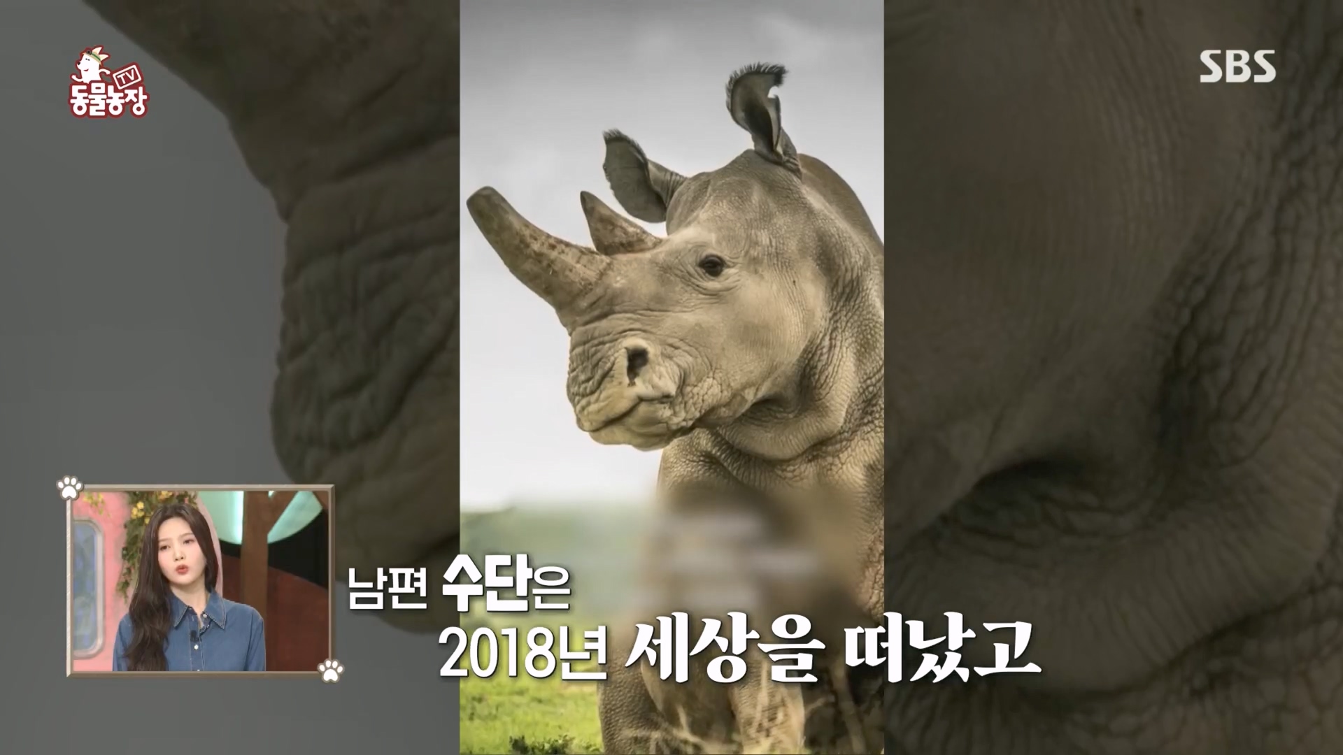 TV 동물농장.E1160.240225p.H264-F1RST.mp4_20240225_162645.511.jpg