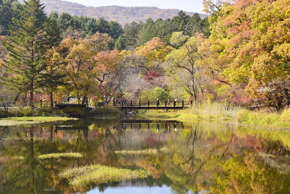 국립수목원 이미지