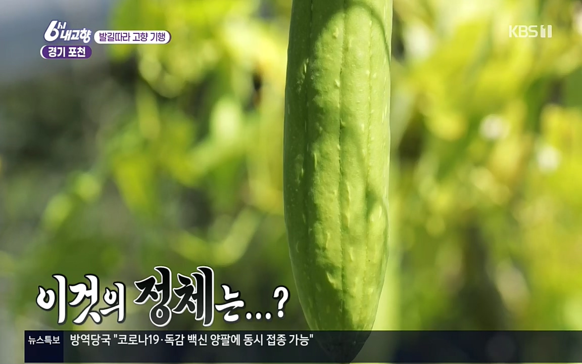 6시 내고향.E7617.220915p.H264-F1RST.mp4_20220916_213108.960.jpg