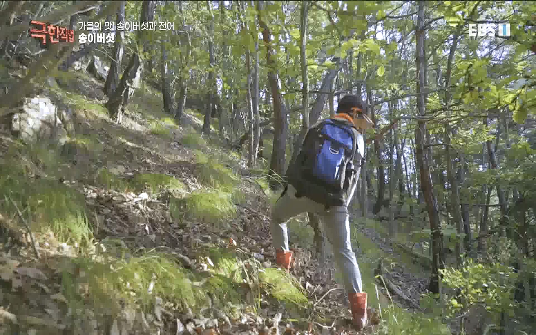 송이버섯과 전어 221008.mp4_20221012_213441.288.jpg