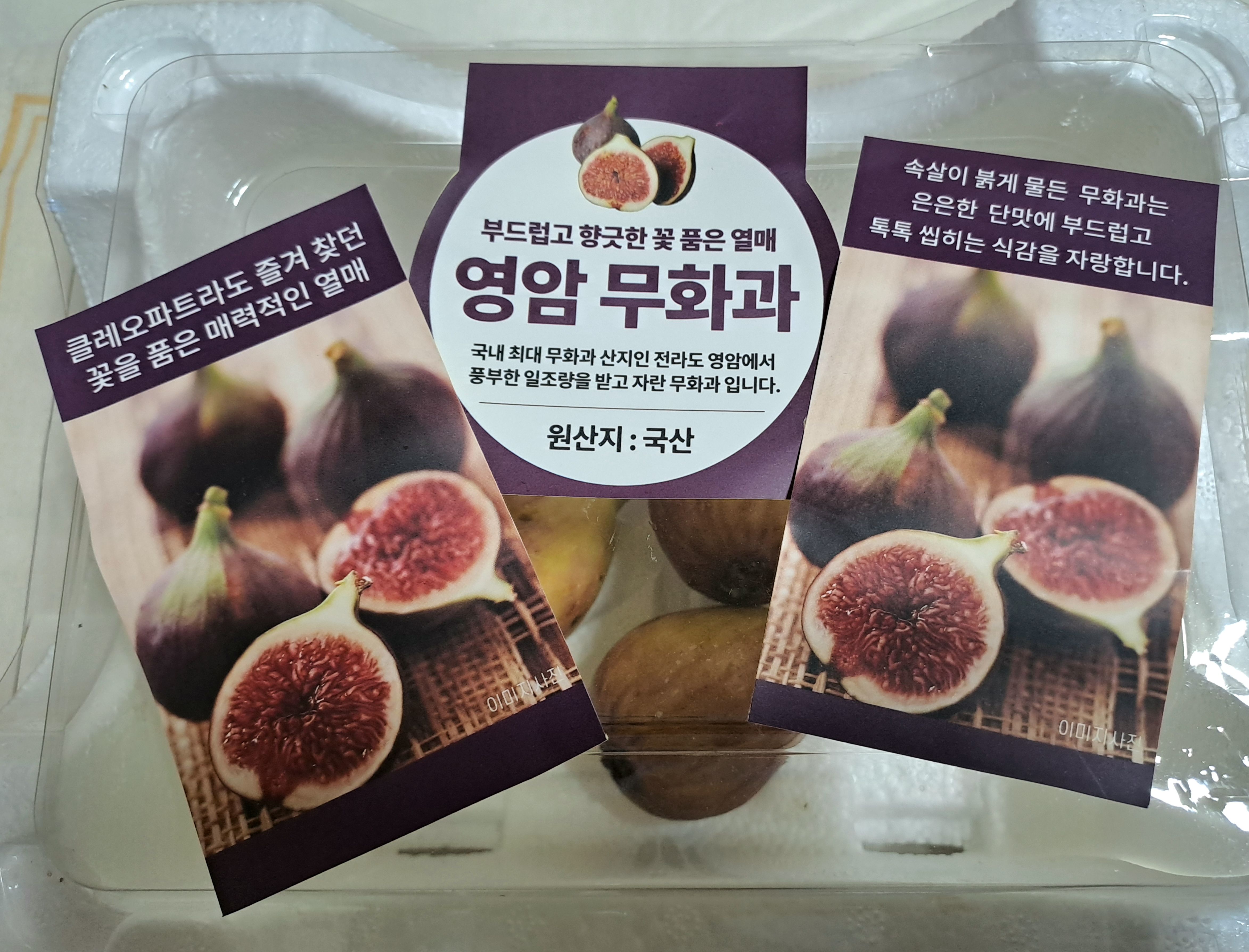영암 무화과