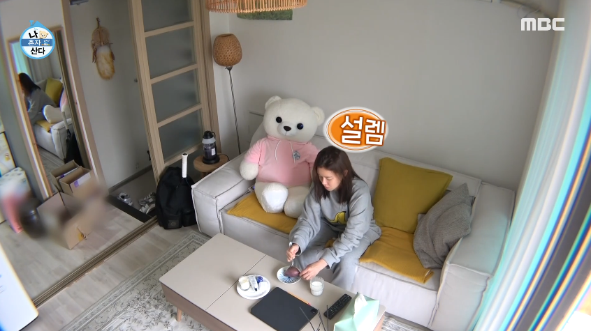  나혼자산다 경수진 소파 정보는??