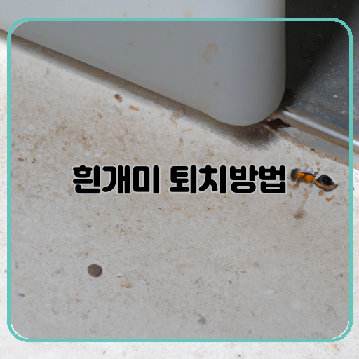 효과적인-(Effective)-흰개미-(White-ants)-퇴치법-(Extermination-method)