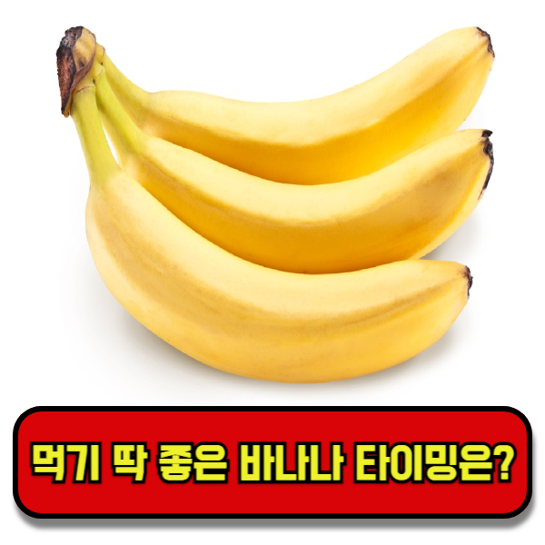 바나나칼로리