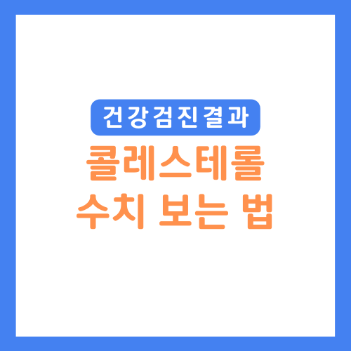 콜레스테롤수치보는법썸네일