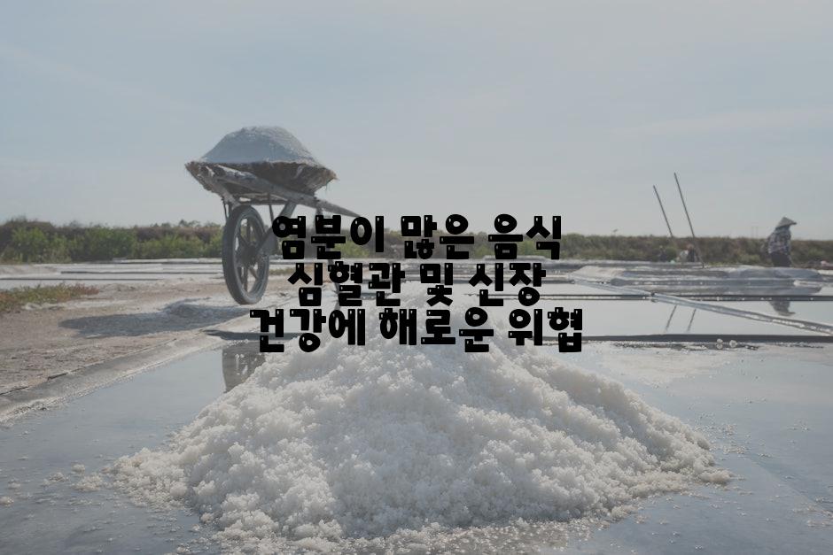염분이 많은 음식 심혈관 및 신장 건강에 해로운 위협