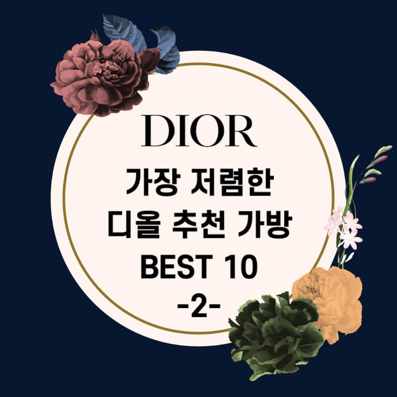 가격이 저렴한 디올 가방 추천 백 종류 BEST 10 (2) 가격이 저렴한 디올 가방 추천 백 종류 Best 10 (2)