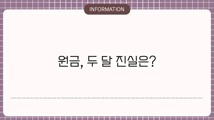 모햇투자 2개월차 후기, 현재 원금 상황은?