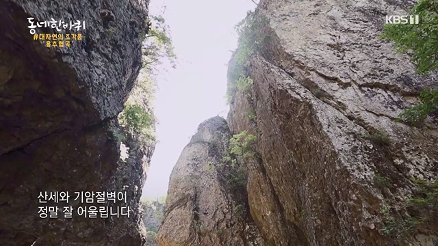 동네 한 바퀴.E228.230618p-NEXT.mp4_20230621_213515.442.jpg