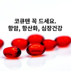 코큐텐효능10가지