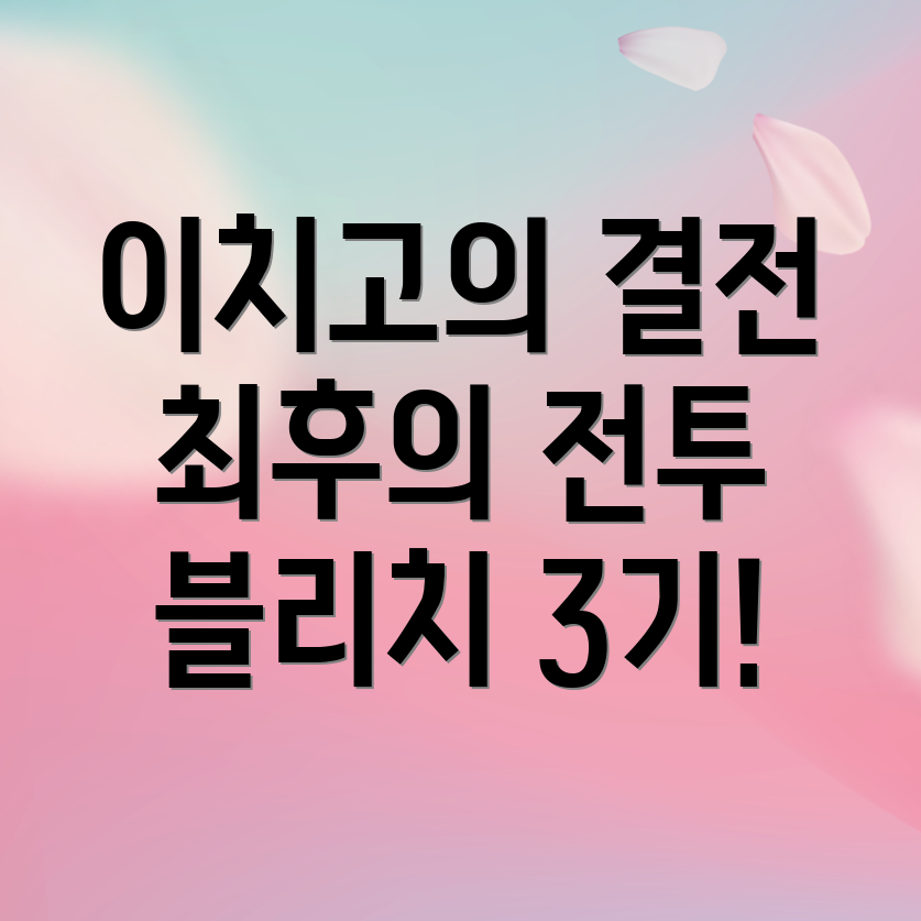 블리치 3기