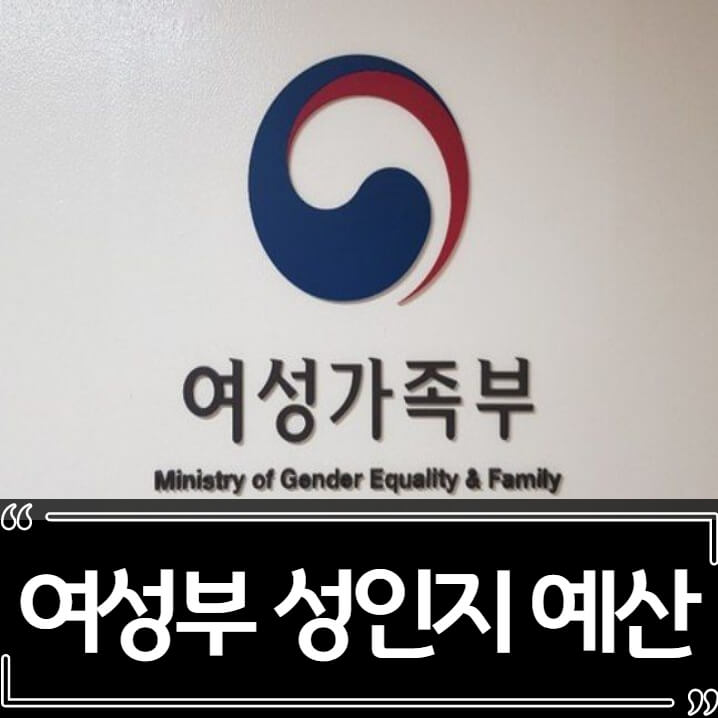  2022년 여성가족부(여성부) 성인지 예산 논란