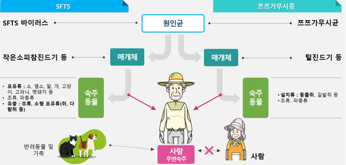 진드기 감염경로