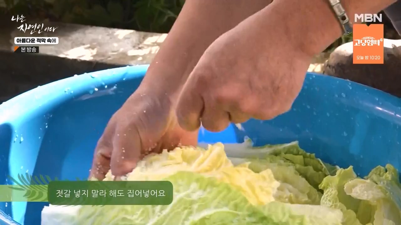 나는 자연인이다.E583.231207p-NEXT.mp4_20231207_195348.853.jpg
